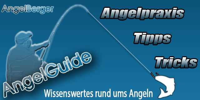 Angel-Berger Angel-Guides